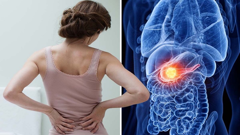 پانکراس چیست و عملکرد آن در بدن ما