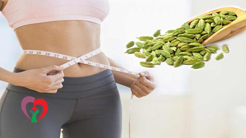 افزایش متابولیسم از خواص هل سبز برای لاغری