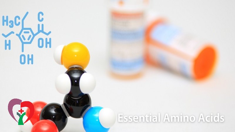 اسیدهای آمینو ضروری کدامند؟
