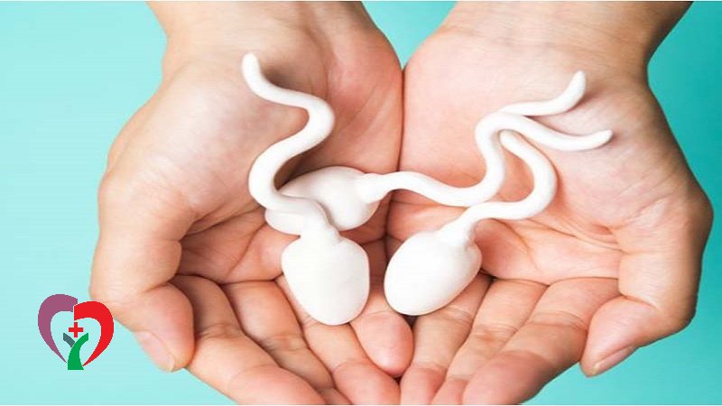 تاثیر مصرف مکمل کراتین و دیگر مکمل های بدنسازی بر عقیم شدن