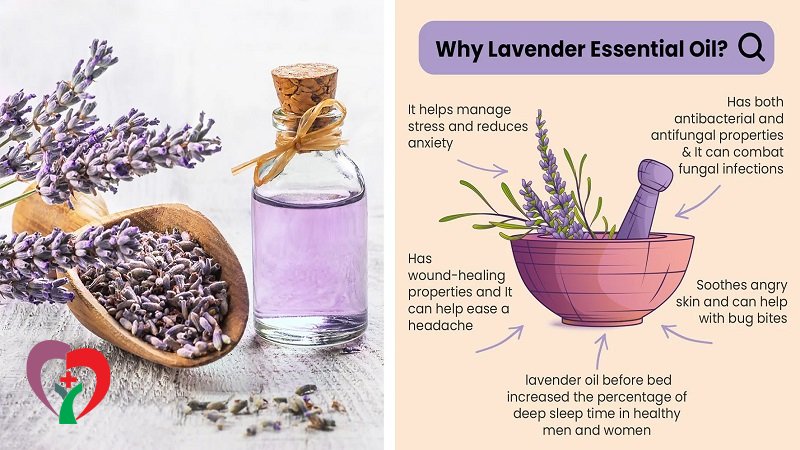 نحوه استفاده از روغن اسطوخودوس برای لک‌های صورت