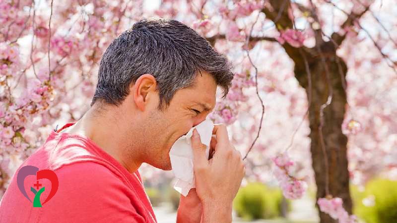 همه چیز درباره حساسیت یا آلرژی در فصل بهار