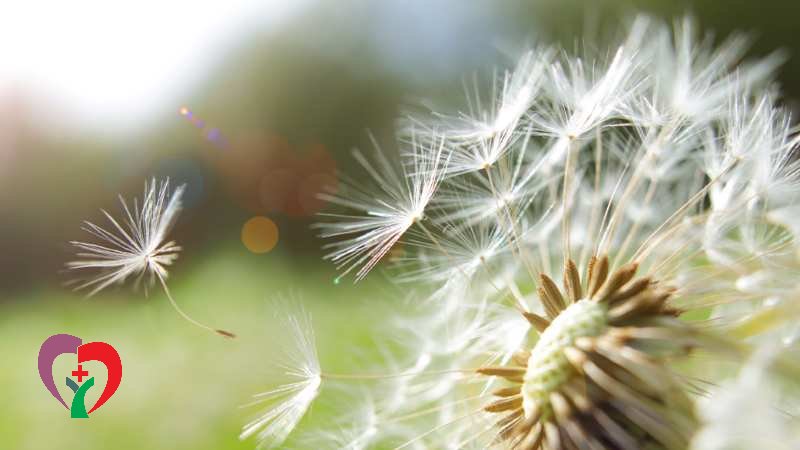 تشخیص حساسیت در فصل بهار