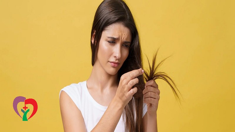 آناتومی یک تار مو