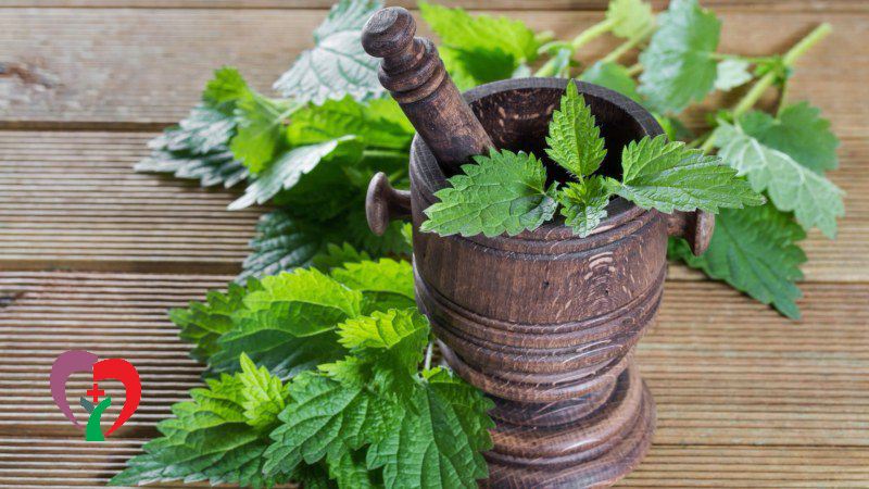 چای گزنه برای رفع خارش بدن