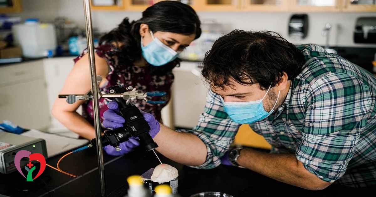 تحقیقات انجام شده برای شناخت بهترین غذاها برای غضروف سازی