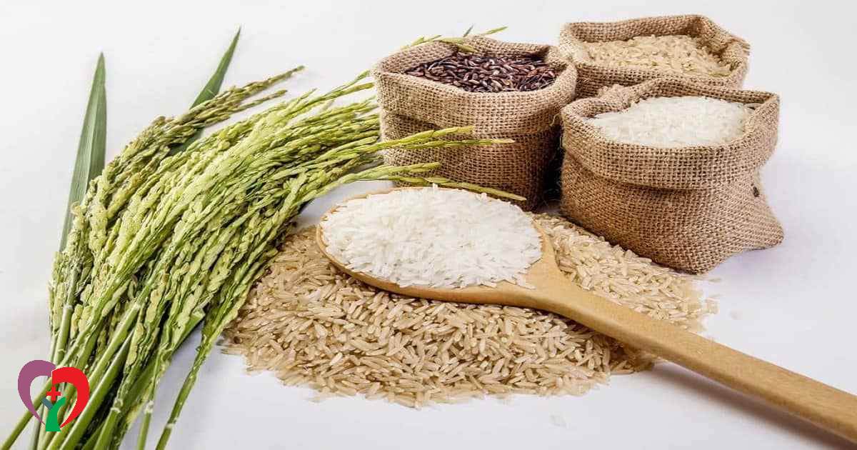 تاریخچه و انواع برنج 