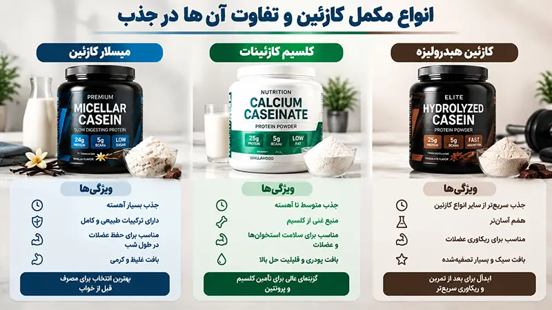 انواع مکمل کازئین و تفاوت آنها در جذب