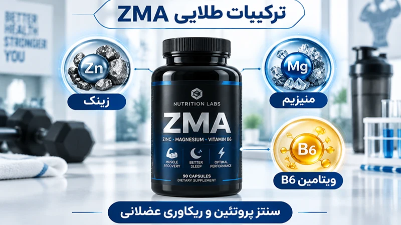 ترکیبات طلایی در مکمل ZMA