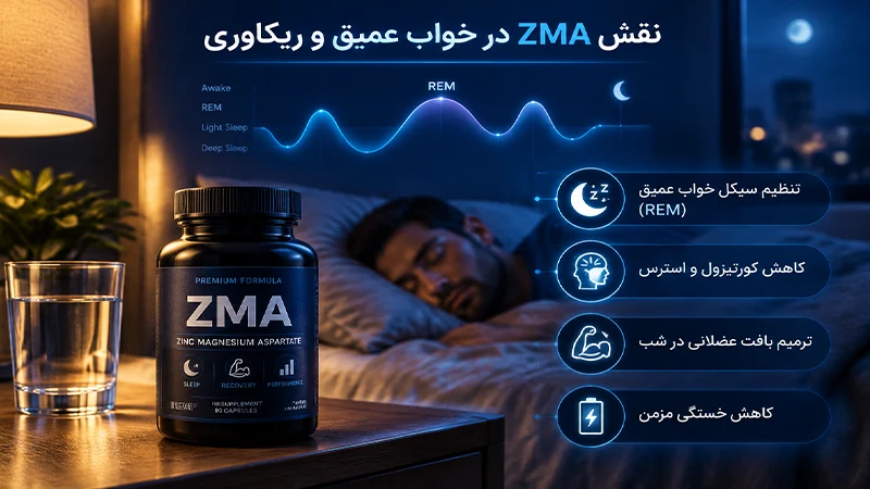 نقش کلیدی ZMA در بهبود کیفیت خواب