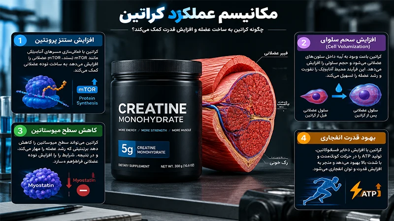 مکانیسم عملکرد کراتین
