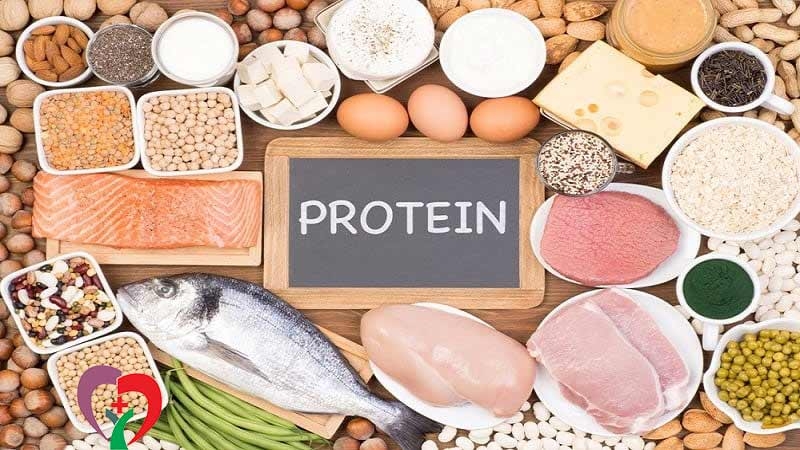 خوراکی‌هایی با پروتئین زیاد و کالری کم